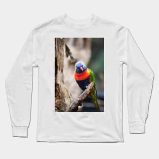 Rainbow Beauty Long Sleeve T-Shirt